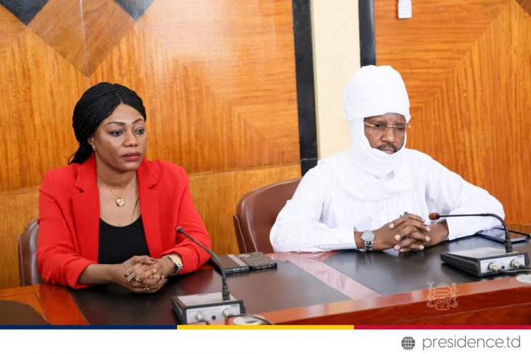 Tchad : les cadres de l’Agence d’administration des zones économiques spéciales officiellement installés