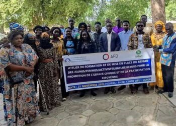 Tchad : un réseau de jeunes à l’école des bonnes pratiques pour la promotion de l’espace civique