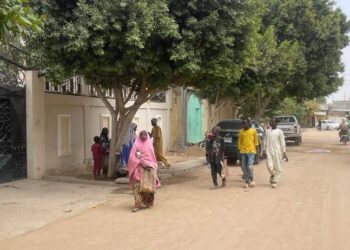 Tchad : les « Mbororos », visages de la migration climatique